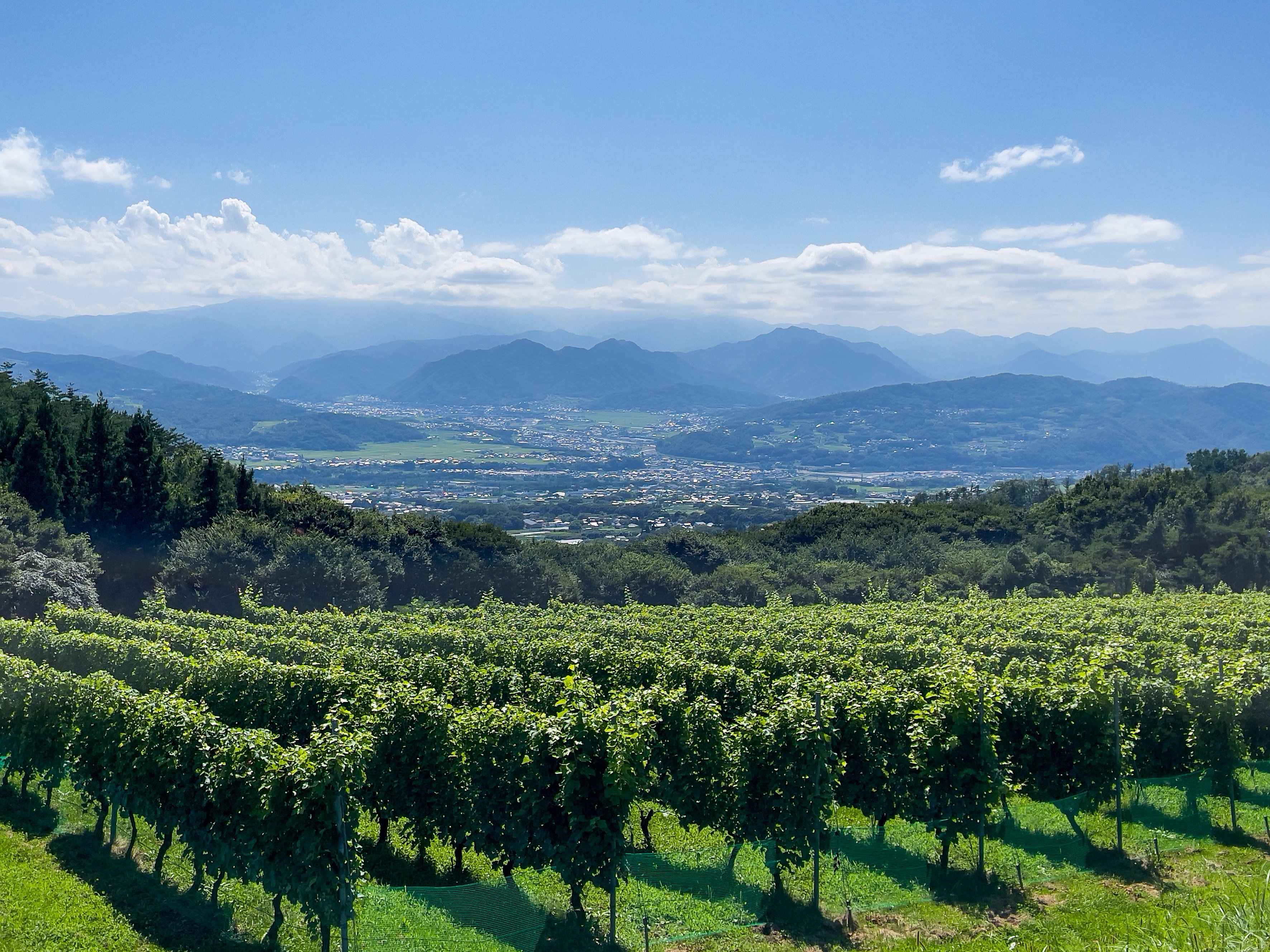 AdobeStock_506632490